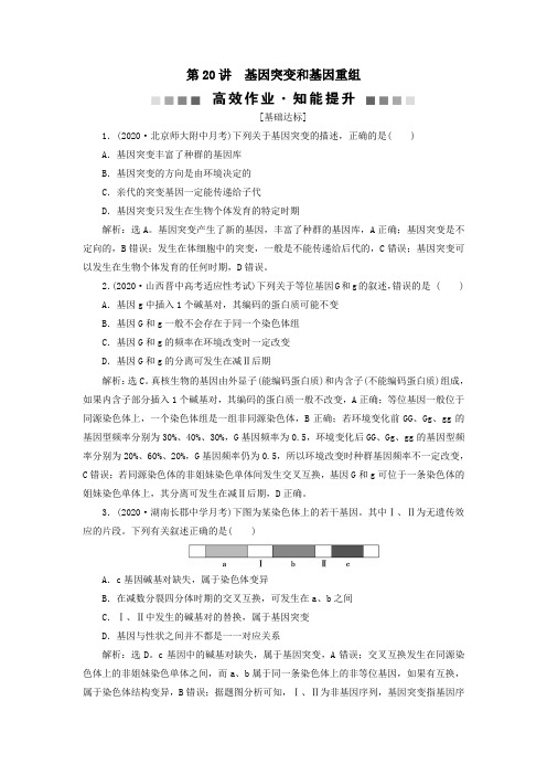 (选考)2021版新高考生物一轮复习第七单元生物的变异和进化第20讲基因突变和基因重组高效作业提升新人教版