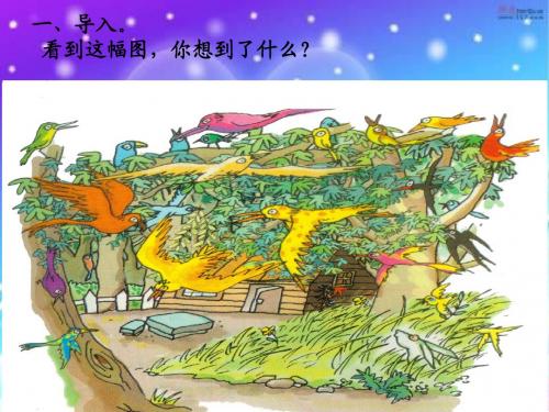 老人和鸟课件(终极版) (1)