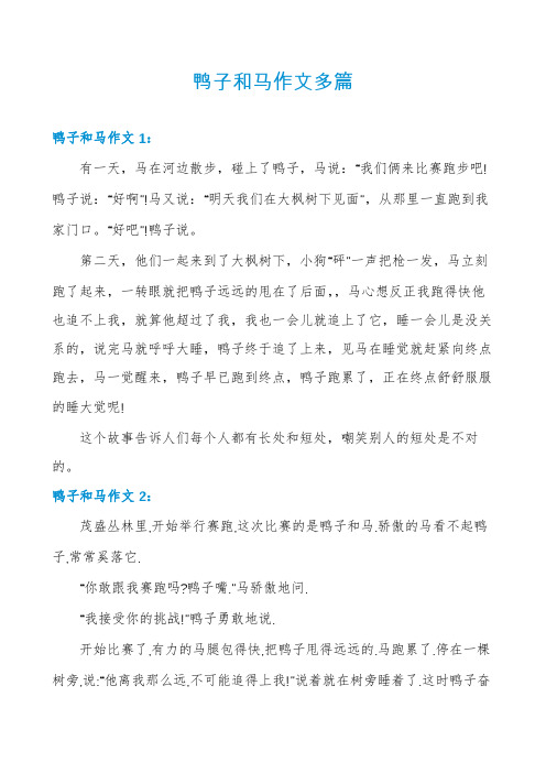 鸭子和马作文多篇