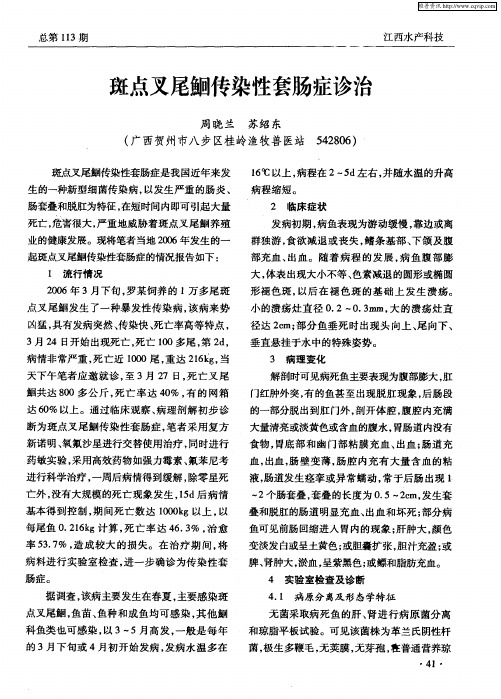 斑点叉尾鮰传染性套肠症诊治