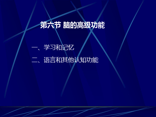 《脑的高级功能》PPT课件
