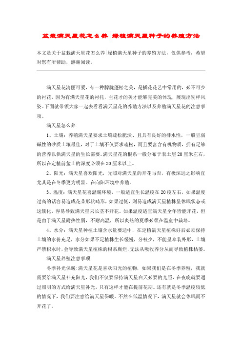 盆栽满天星花怎么养-绿植满天星种子的养殖方法