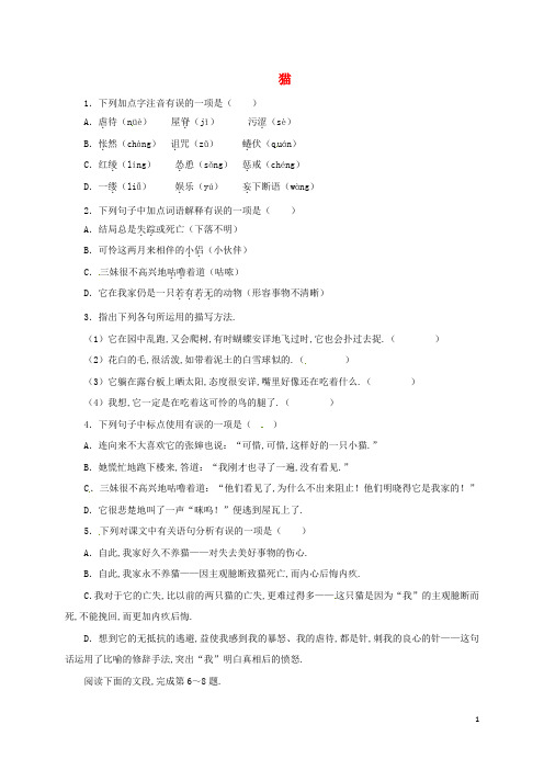 2019初中语文教案和练习
