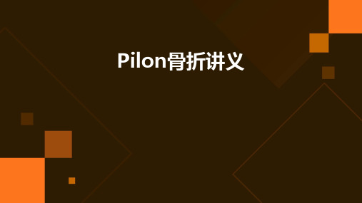 Pilon骨折讲义