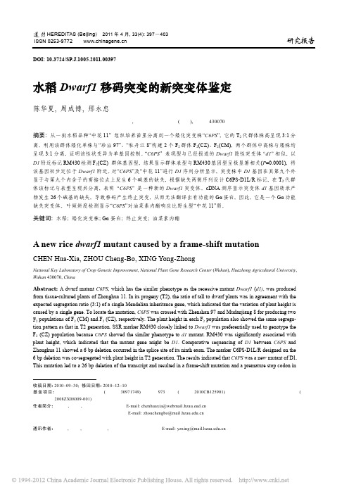 水稻Dwarf1移码突变的新突变体鉴定
