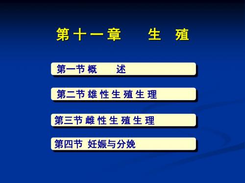 [理学]普通全日制大学本科生物类基础课程【动物生理学】课件第十二章 生殖