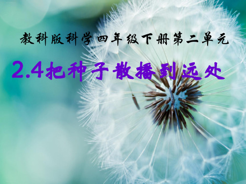 四年级下册科学课件 2.4 把种子散播到远处｜教科版 (共14张PPT)