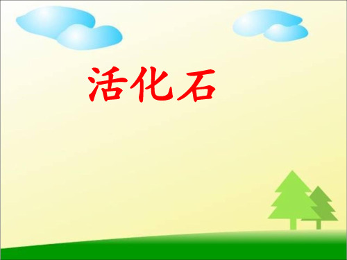 小学二年级上册语文第三十三课活化石PPT课件2
