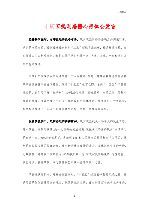 十四五规划感悟心得体会发言