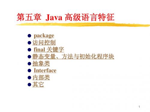 JAVA 高级语言特征