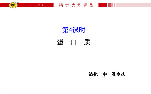第四课时蛋白质