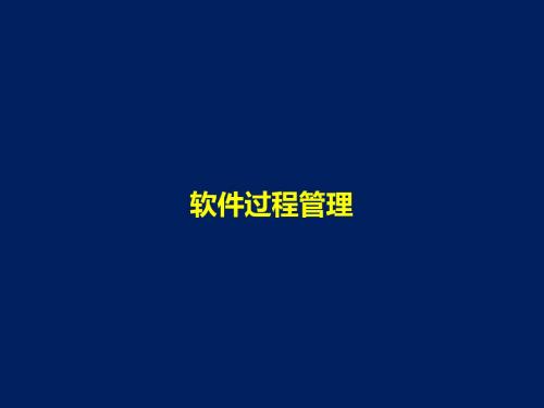 软件过程管理