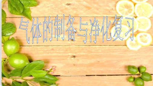 中考化学专题复习：气体的制备与净化复习 课件 (共13张PPT)