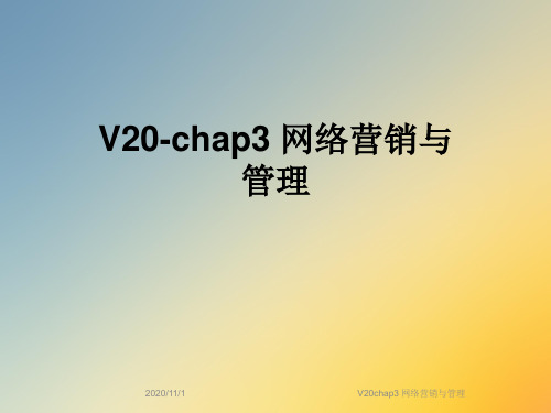 V20chap3 网络营销与管理