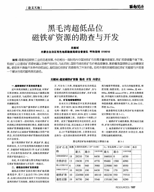 黑毛湾超低品位磁铁矿资源的勘查与开发