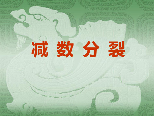(公开课课件)减数分裂(实验)