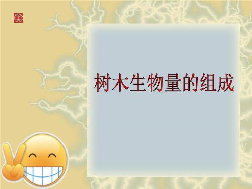 树木生物量的组成