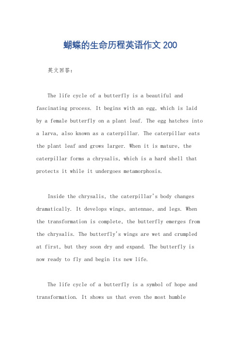 蝴蝶的生命历程英语作文200