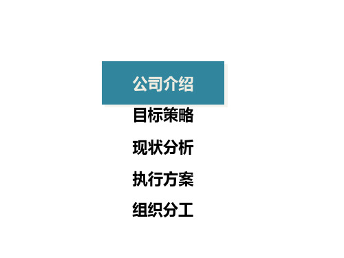 电子渠道.pptx
