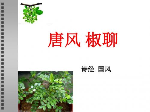 椒聊之实蕃衍盈匊彼其之子-唐风诗经