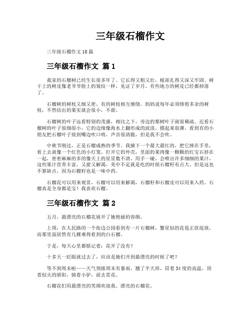 三年级石榴作文