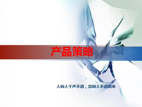 产品策略培训教材(PPT 80页)