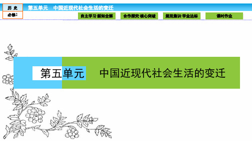 2016-2017学年(人教版)高中历史必修2课件：第五单元 中国近现代社会生活的变迁.14