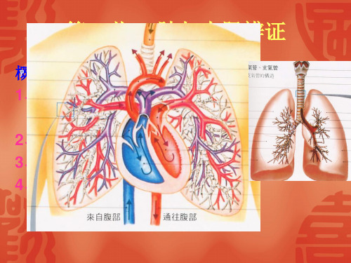 中医诊断学 第五章 脏腑辨证(二 肺与大肠)