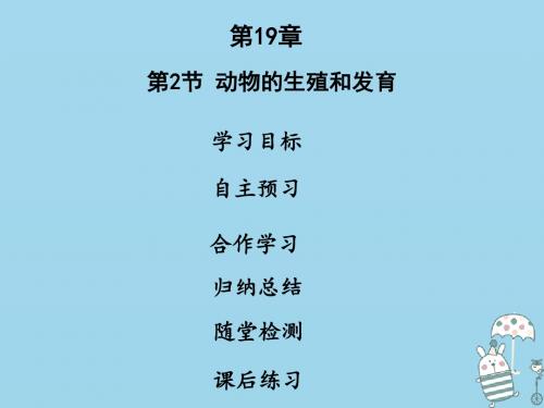 八年级生物上册第六单元第19章第2节动物的生殖和发育课件(新版)北师大版