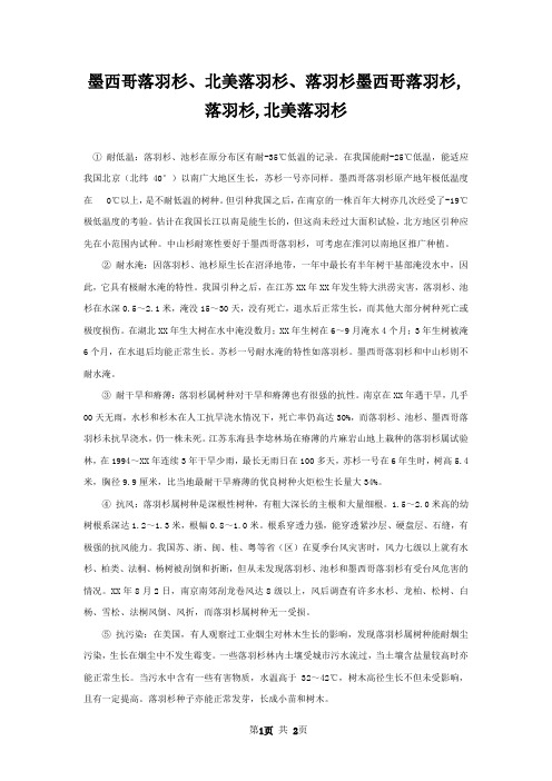 墨西哥落羽杉北美落羽杉落羽杉墨西哥落羽杉,落羽杉,北美落羽杉