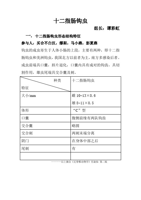 十二指肠钩虫