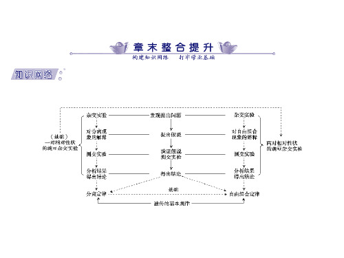 一、亲子代基因型、表现型及比例的相互推导思路1由亲代推