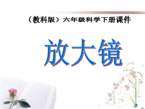 《放大镜》微小世界PPT课件  图文