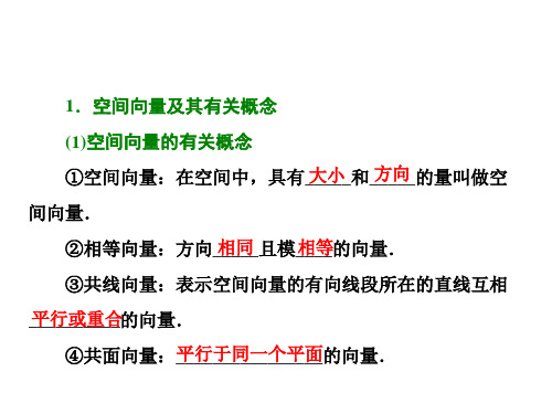 空间向量及其运算和空间位置关系    课件