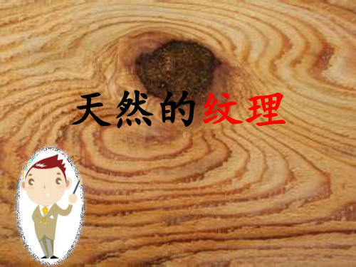《天然的纹理》PPT课件