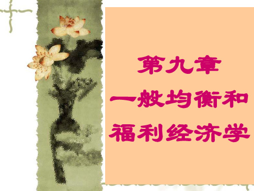 第9章一般均衡论和福利经济学