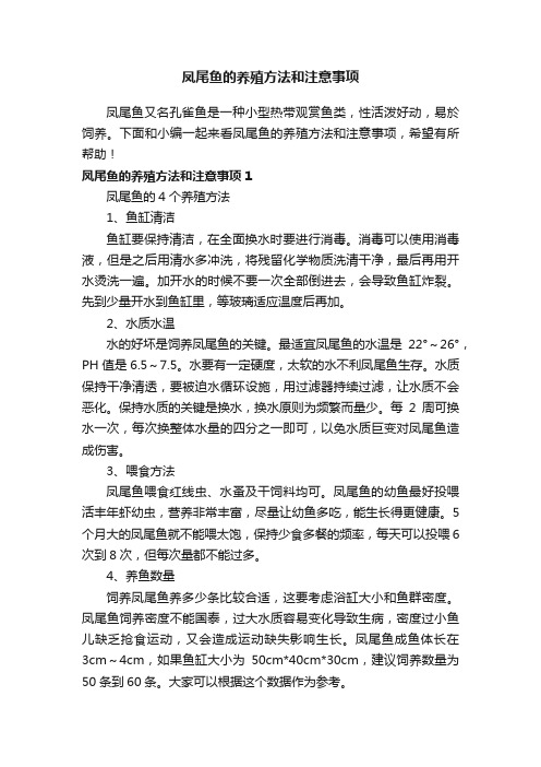 凤尾鱼的养殖方法和注意事项