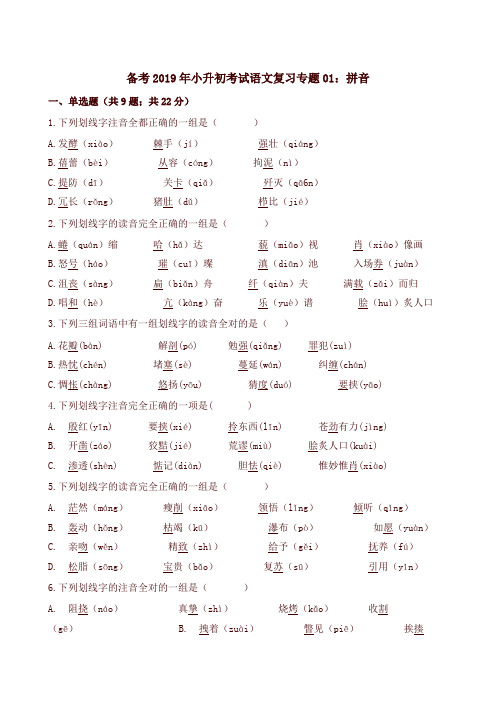 2019年小升初考试语文复习专题全套(共11套试卷含解析)