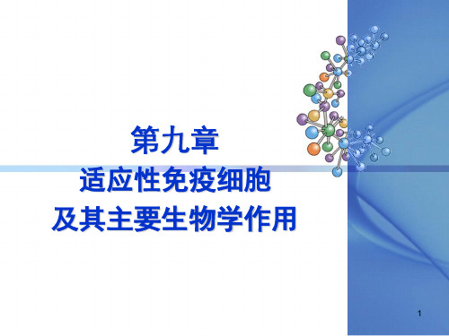 《医学免疫学 》教学课件：第九章 执行和启动适应性免疫应答的细胞