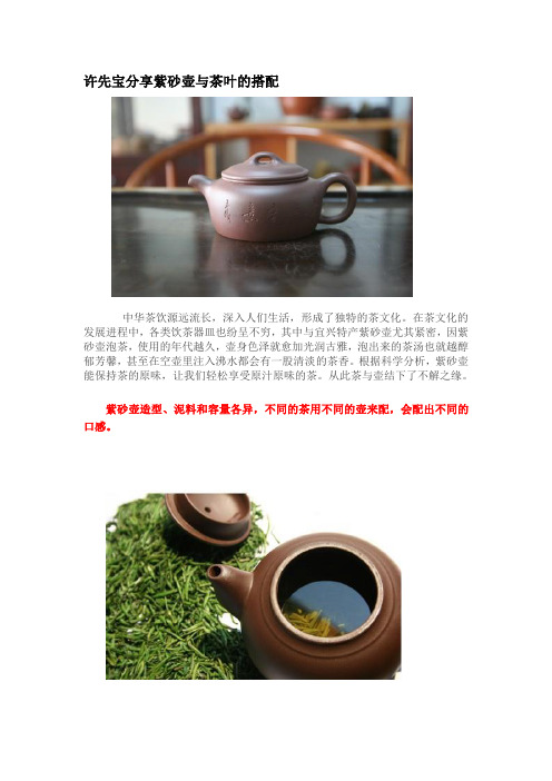 许先宝分享紫砂壶与茶叶的搭配