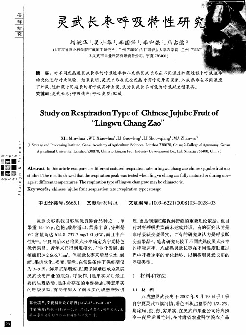 灵武长枣呼吸特性研究