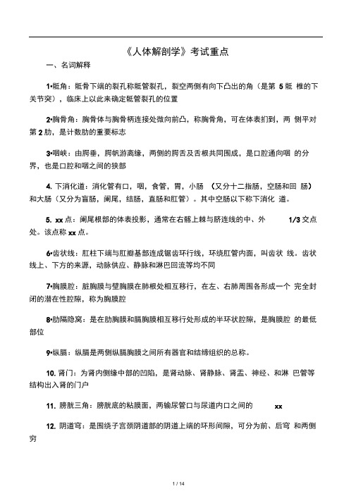 人体解剖学复习重点