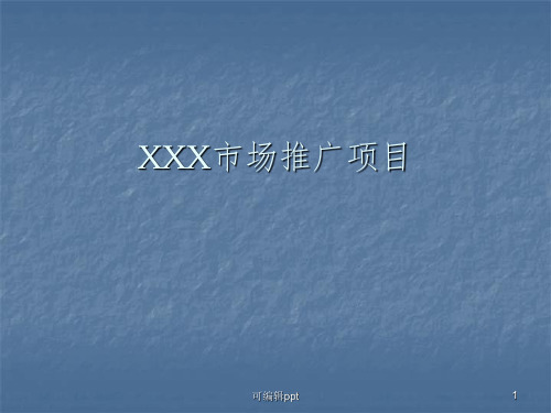市场推广方案模板ppt课件