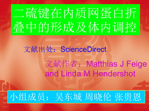 二硫键在内质网蛋白折叠中的形成及体内调控