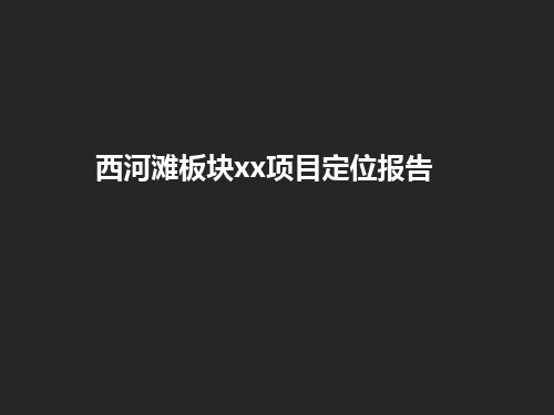 西河滩板块xx项目定位报告(上)