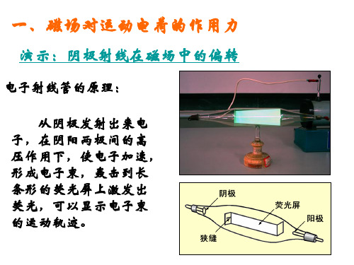 物理   洛伦兹力