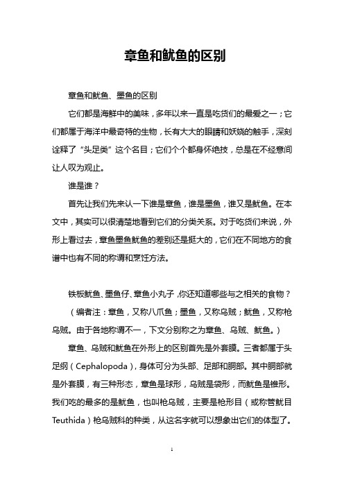 章鱼和鱿鱼的区别