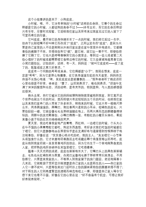 故事精选小狗皮皮