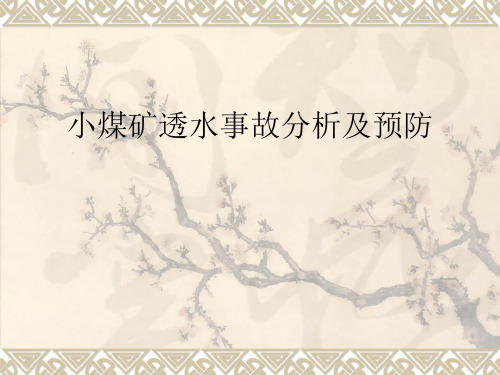小煤矿透水事故分析及预防ppt课件