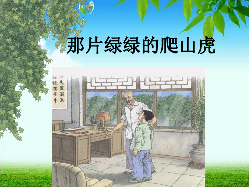 26__那片绿绿的爬山虎PPT课件